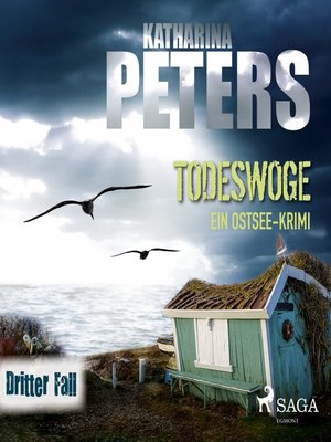 cover image of Todeswoge